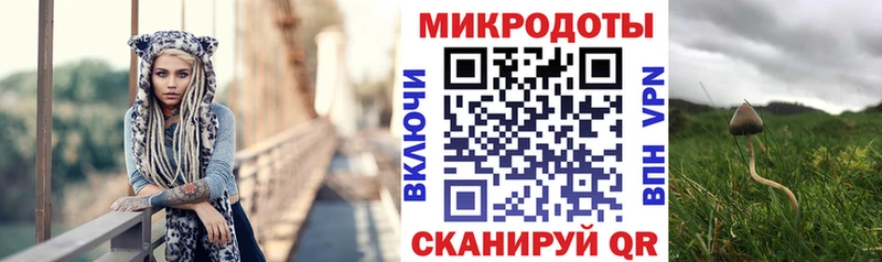 даркнет сайт  Бирюсинск  гидра онион  Галлюциногенные грибы ЛСД 
